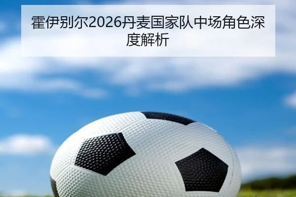 霍伊别尔2026丹麦国家队中场角色深度解析